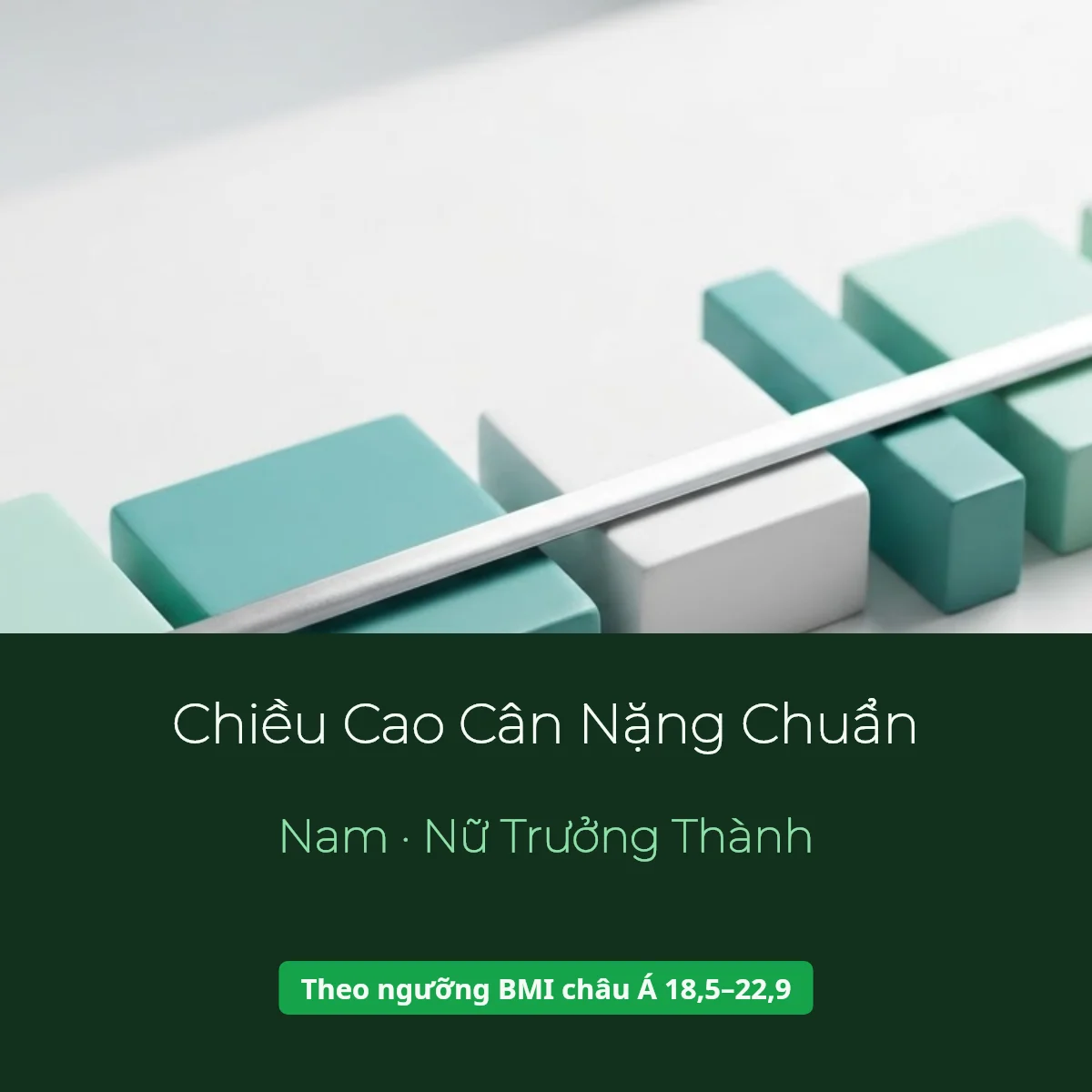 Chiều Cao Cân Nặng Chuẩn Miễn Phí (2026)