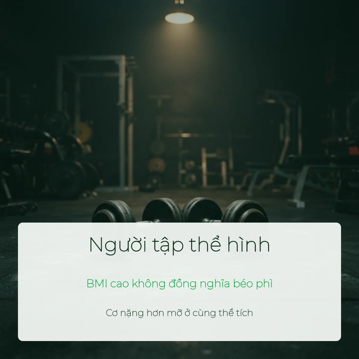 Lưu ý BMI với người tập thể hình: cơ nặng hơn mỡ